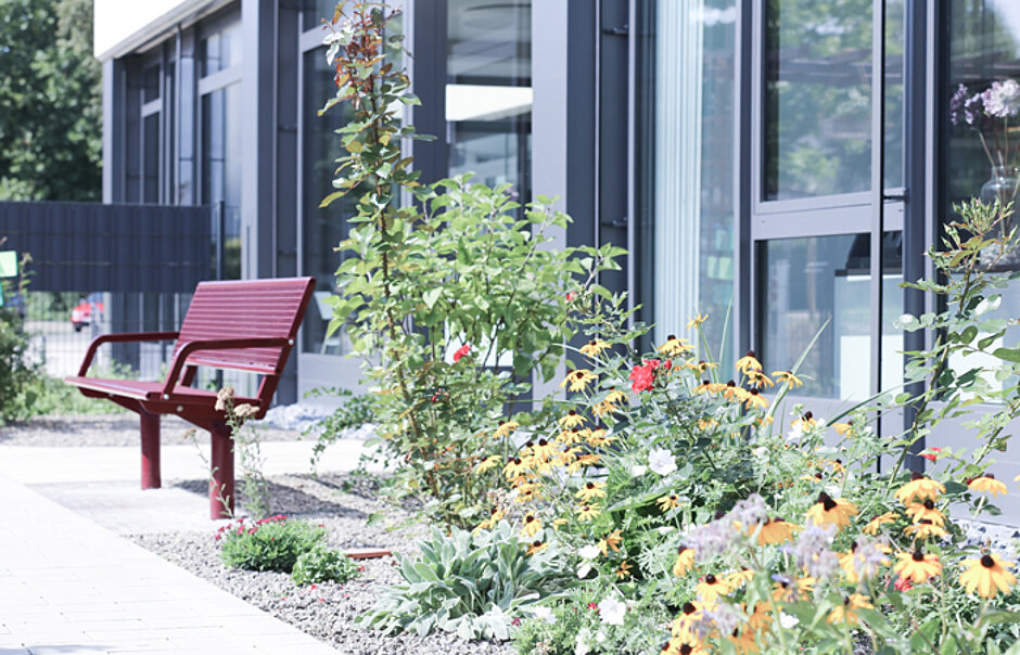 Der Garten des MCZ mit einer roten Parkbank.